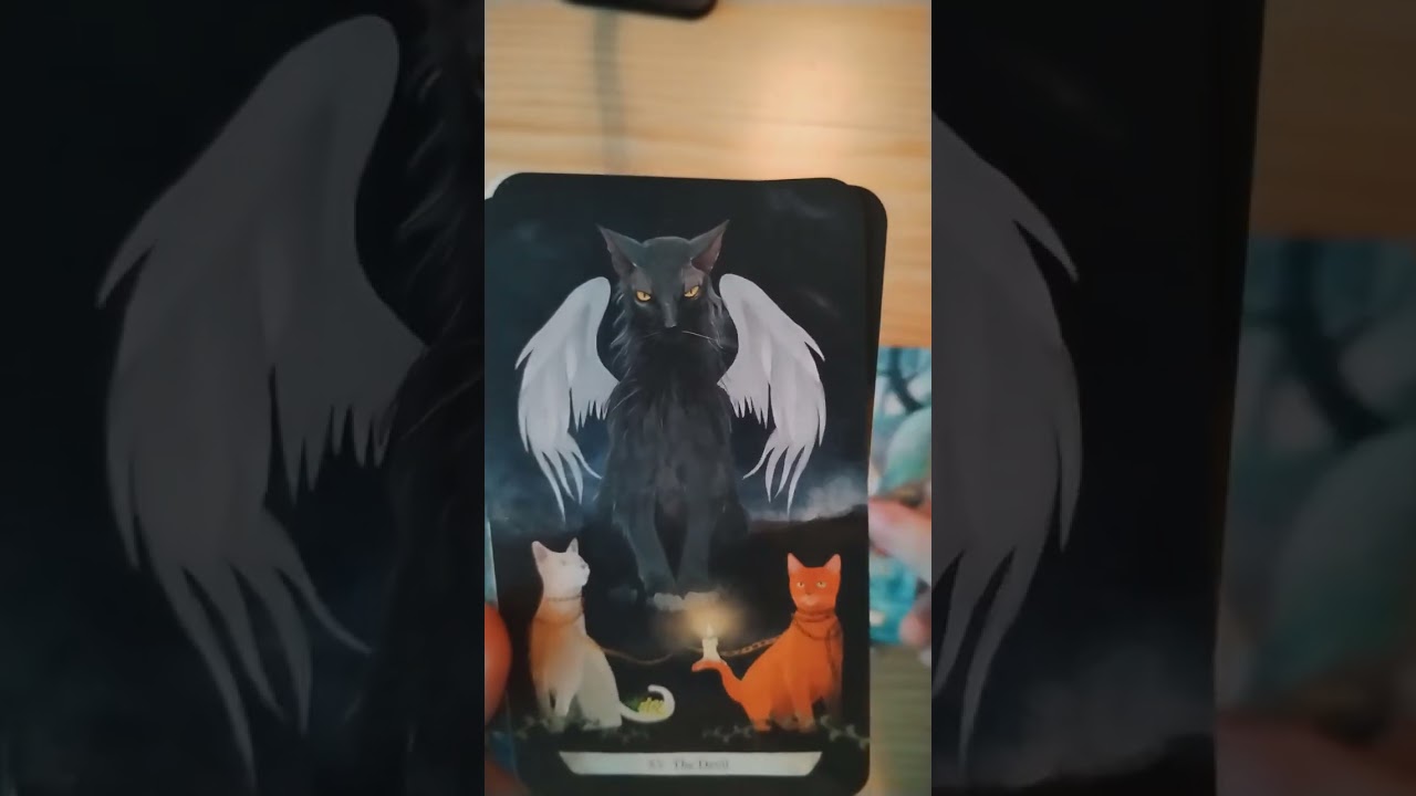 Unboxing and flickthrough for the Enchanted Forest Felines deck