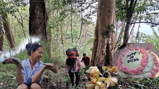 Exploring the Nature🌿🌳 | Catching Local Fish in fishery || celebrating her birthday 🎂