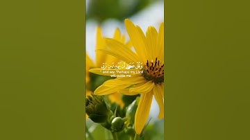 ايات من سورة الكهف ♥️♥️ جمعة مباركة