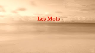 Mylène Farmer  &amp;  Seal  -  Les Mots  (Paroles)