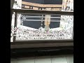 الهى واسع الكرم الهى واسع الكرم