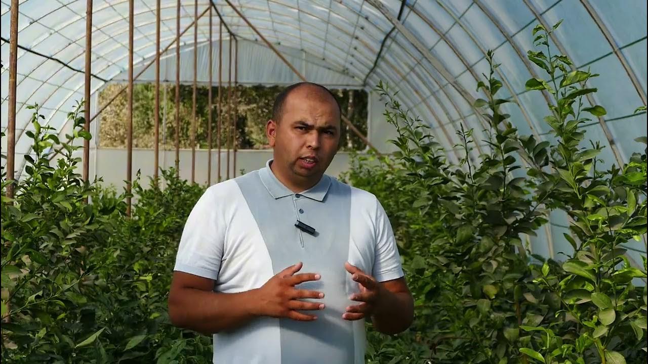 Rus filmlar dan porno