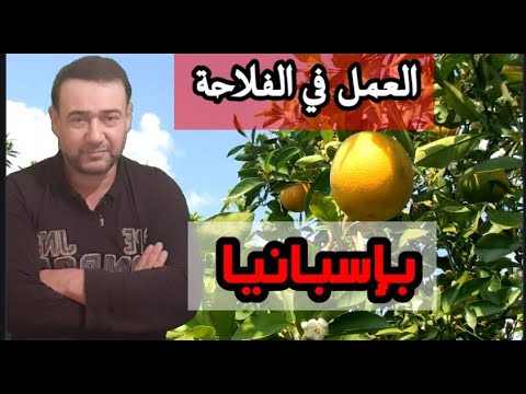 العمل في الفلاحة بإسبانيا/تعرف على المناطق الفلاحية بإسبانيا