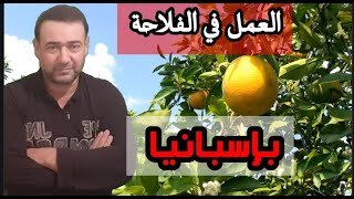 العمل في الفلاحة بإسبانيا/تعرف على المناطق الفلاحية بإسبانيا