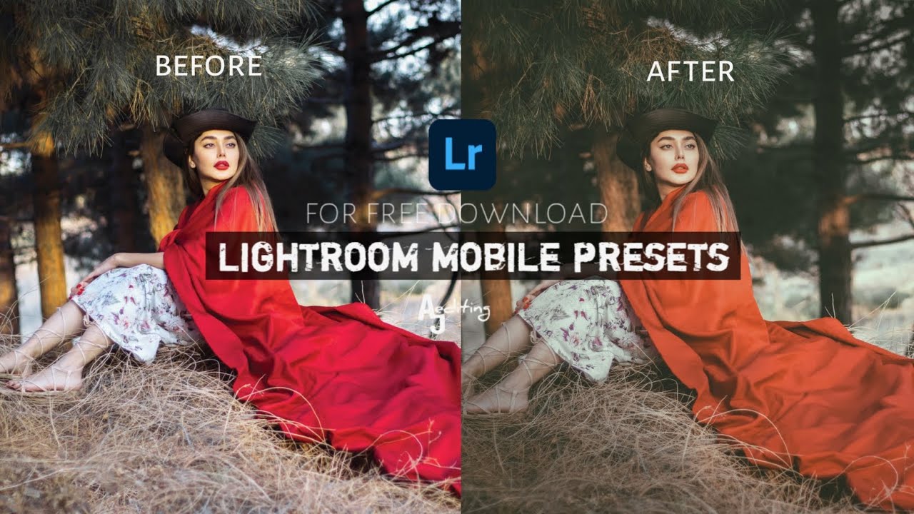 Lightroom Mobile Preset For Free Download Lightroom Mobile Preset