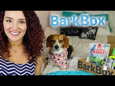 Video: Bekijk deze schattige puppy's graven in de BarkBox van mei 2015