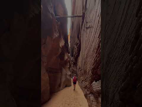 Flash flood jams log in slot canyon high above us - Paria #canyoneering #utah #slotcanyon #shorts