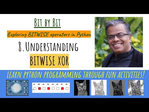 8. Bit by