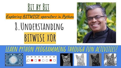 8. Bit by Bit - What is bitwise XOR operator in Python?