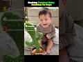 Ranking Funniest Baby Reaction To Toys