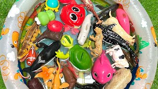 sea animals with colorful toys | kids sea education easy names & toy learning fun