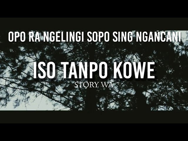 Iso Tanpo Kowe Story wa (Opo ra ngelingi sopo seng ngancani) class=