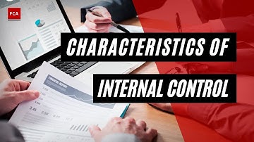 Building Robust Organizations: The Role of Effective Internal Controls
