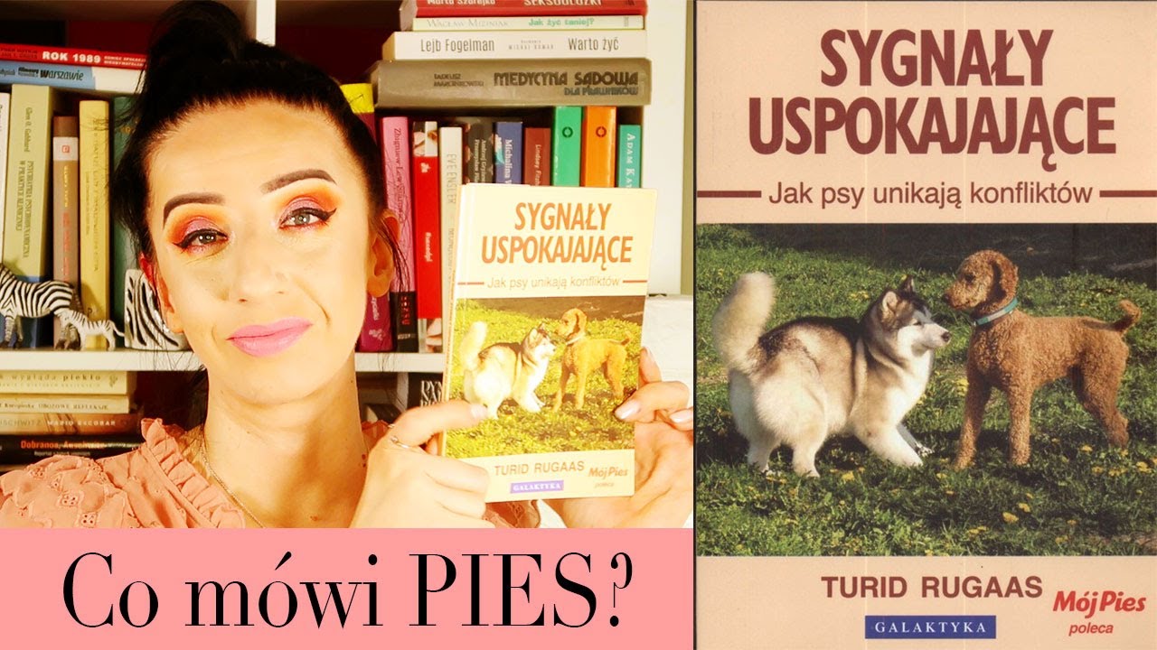 SYGNAŁY USPOKAJAJĄCE Jak psy unikają konfliktów? 🐶 Turid Rugaas 🐕‍🦺