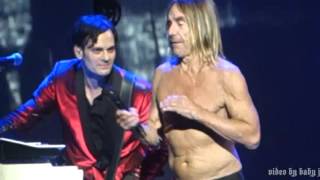 Watch Iggy Pop Fall In Love With Me video