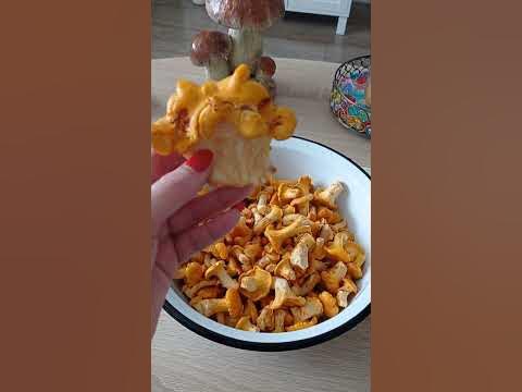 Лисичка - вкуснейший и полезнейший Гриб. Чистит организм от паразитов ...