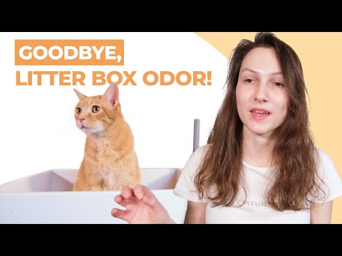 Video: Kaip sustabdyti kačių kvapą?