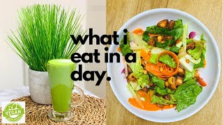 WHAT I EAT IN A DAY | VEGAN!