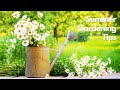 Summer Gardening Tips