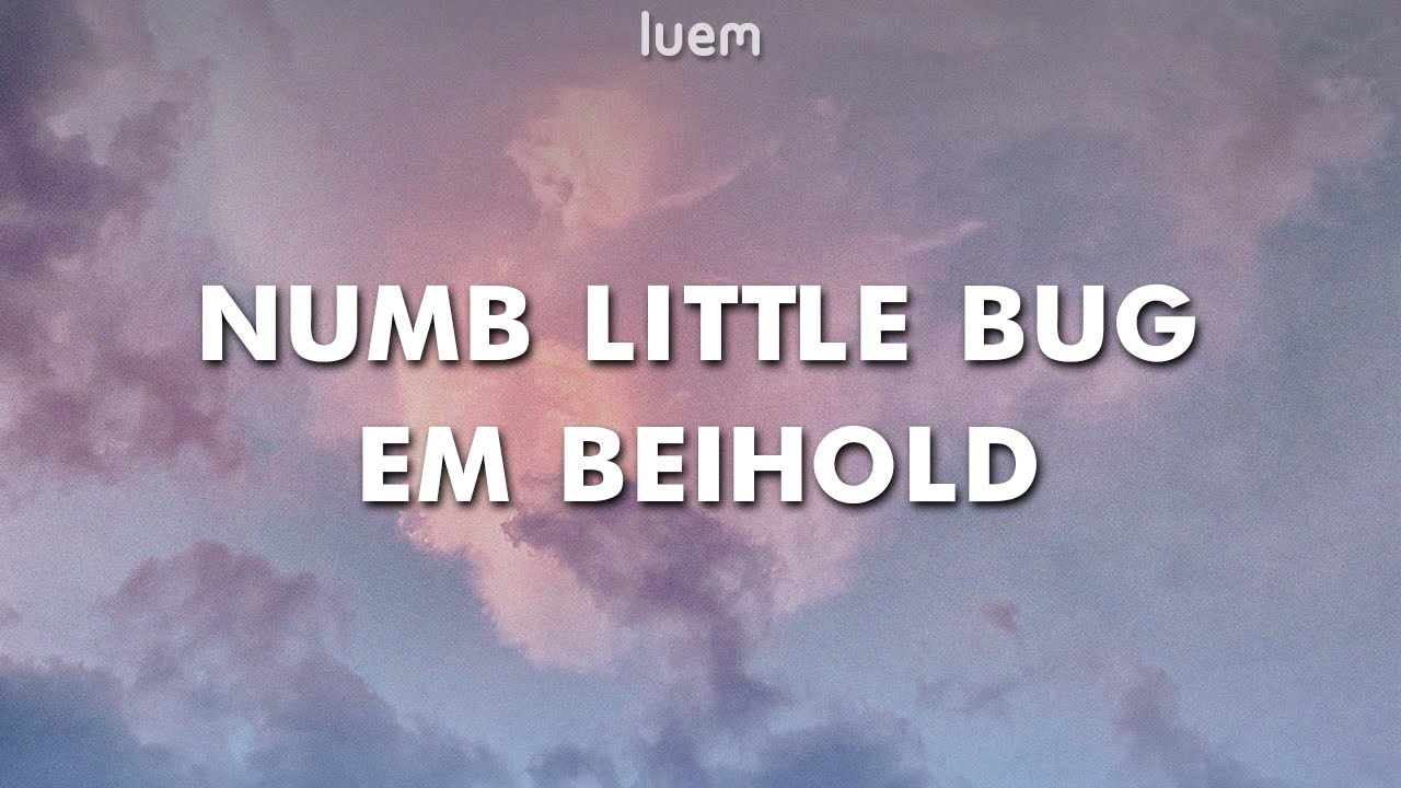 Em Beihold Numb Little Bug Lyrics Luem YouTube Em beihold numb little bug lyrics luem youtube
