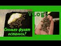 Vlog:Что с рыбками😶? Уборка у улитят🙃