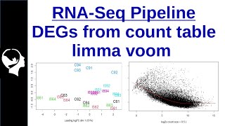 DEG isolation using limma voom | A Rstudio Tutorial