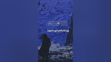 تلاوه هادئه ل قارئ ياسر دوسري #القرآن_الكريم #المصحف #راحة_نفسية