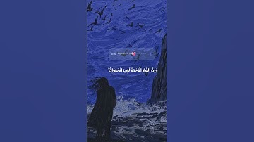 تلاوه هادئه ل قارئ ياسر دوسري #القرآن_الكريم #المصحف #راحة_نفسية