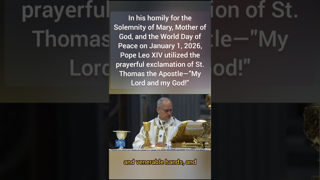 Pope Leo XIV utilized the prayerful exclamation of St. Thomas the Apostle—"My Lord and my God!"