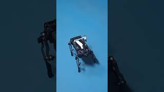 Wavego: just after assembly Wavego: just after assembly