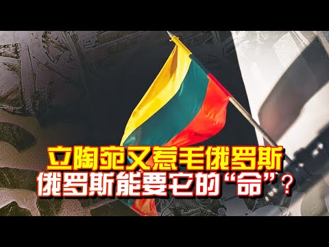 繼得罪中國後，立陶宛又惹毛俄羅斯，和中國不一樣，俄能要它的命|默克爾拉上歐盟，集體給烏克蘭敲警鐘：安撫不成，反給美挖坑？|日本設宇宙作戰隊|臺軍【一號哨所】