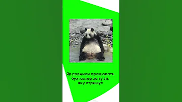 Як повинен працювати бухгалтер 