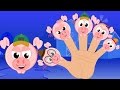 Finger Family Pig Songs For Children And Nursery Rhymes With Lyrics For Kids