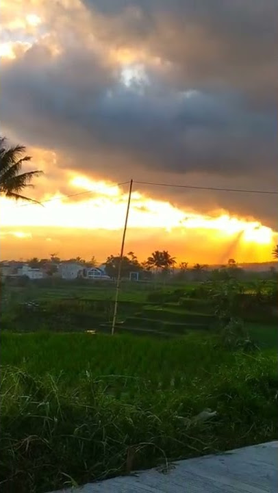 Panorama alam pagi hari yang indah #shorts #garut #cilawu