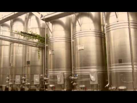 ვაზი და ქიმია