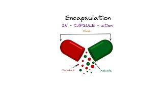 Encapsulation in Object Oriented Programming-4 | Interview Series