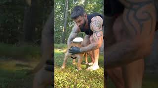 Relieving anal glands GROSS!!! American bully maintenance