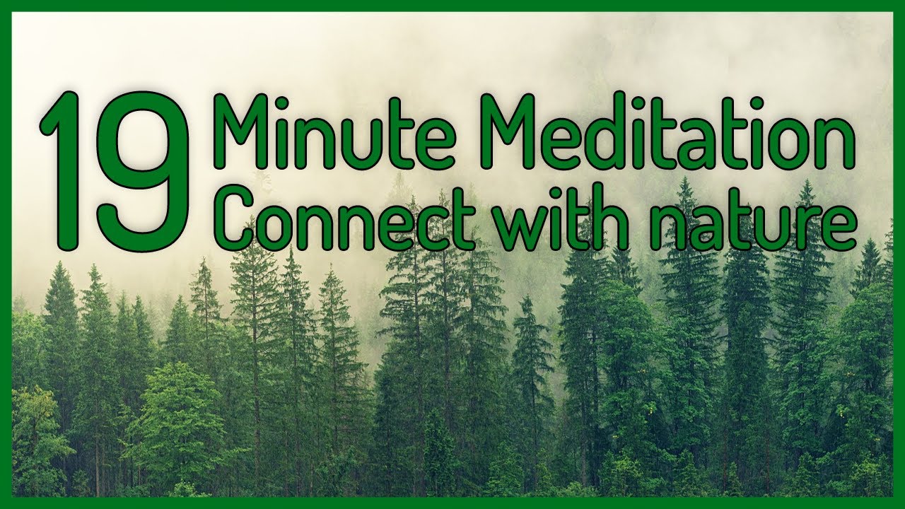 Sounds and images to improve your mood and connect with nature: 19 minutes of meditation.