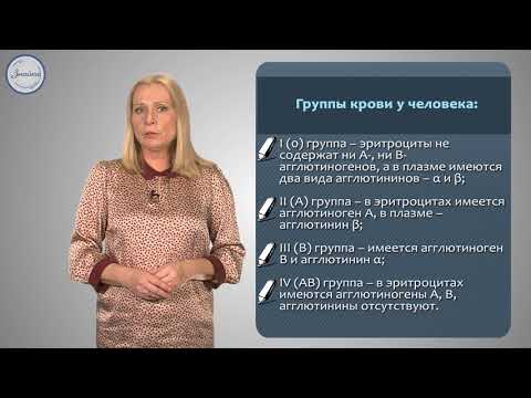 Биология 8 класс. Группы крови.  Резус фактор.  Переливание крови