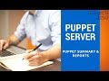 Puppet Server Summary and Report