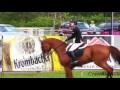 Сила воли|Конный спорт|Willpower|Equestrian sport