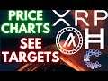 UPDATE! Ripple XRP Price Chart & Alts | Algorand Casper Hedera WATCH ALL
