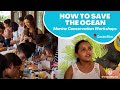 How to Save the Ocean | Marine Conservation Workshops in Costa Rica - MCEC Innoceana