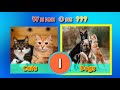 Active Choices and Exercises Quiz