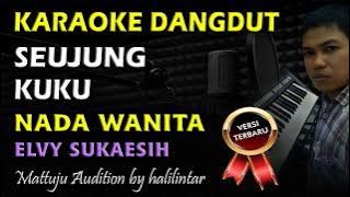 Karaoke Seujung Kuku || Nada Wanita