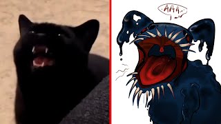 Never Make Your Cat Angry (instant regret) | Funny Animal Memes by Cat Memes 24,502 views 2 days ago 18 minutes