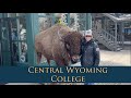 The central wyoming college horse program