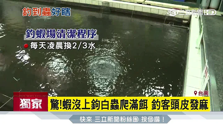 驚！蝦沒上鉤白蟲爬滿餌　釣客頭皮發麻｜三立新聞台 - 天天要聞