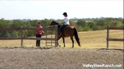 Valley View Ranch - Nip -   ***For info, price, etc., go to our website***