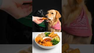 We Identify As Always Hungry. Labrador And Golden. Oh My God, It Smells So Good. Cute Pet Debut Plan